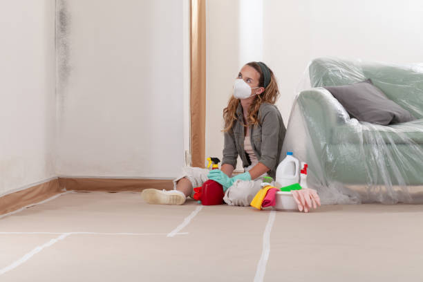Reliable Mold Removal contractor in Williamsburg, KY by 24 Hour Mold Removal